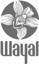 Wayal Health Sciences USA, Inc.